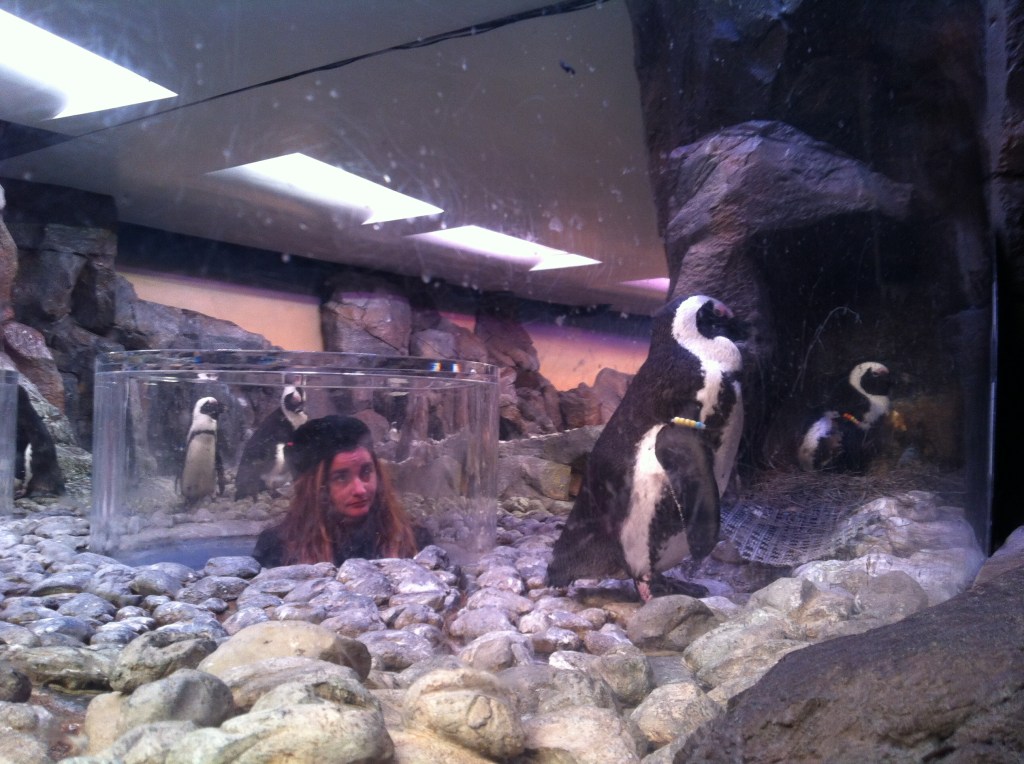 Moments before I met Met.