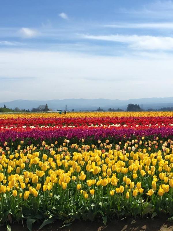 A Weekend in&nbsp;Portland