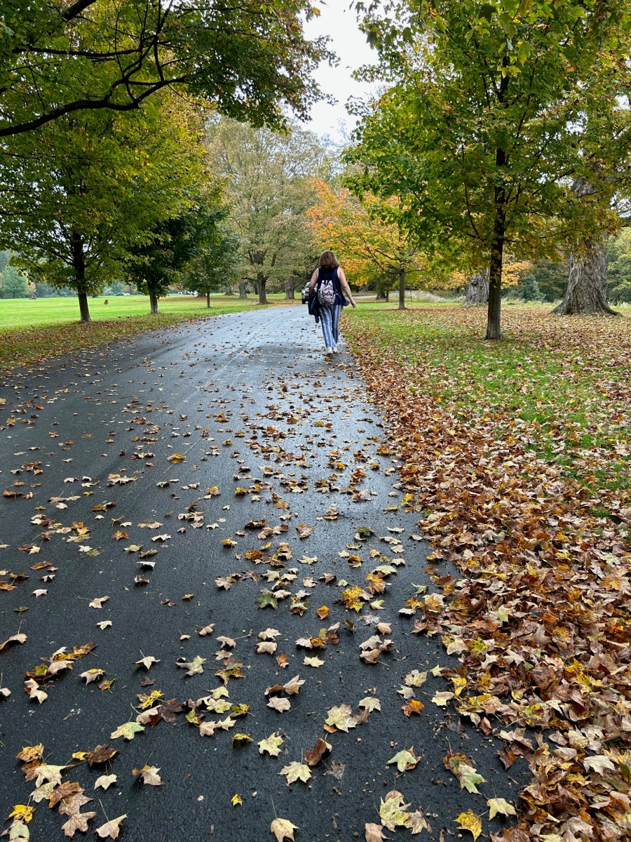 Fall in Five States: NJ, CT, NY, MA,&nbsp;RI